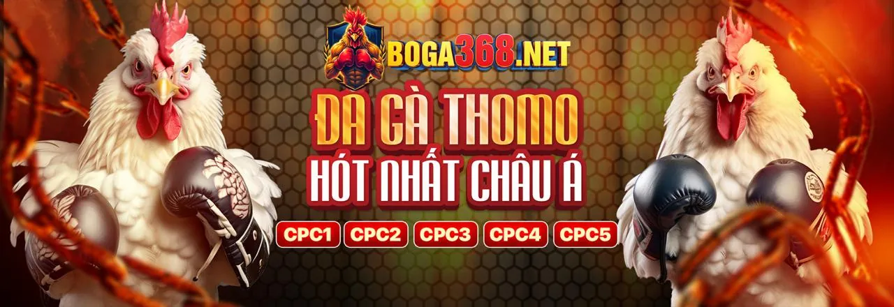 Hình ảnh hỗ trợ khách hàng Sbotop Link